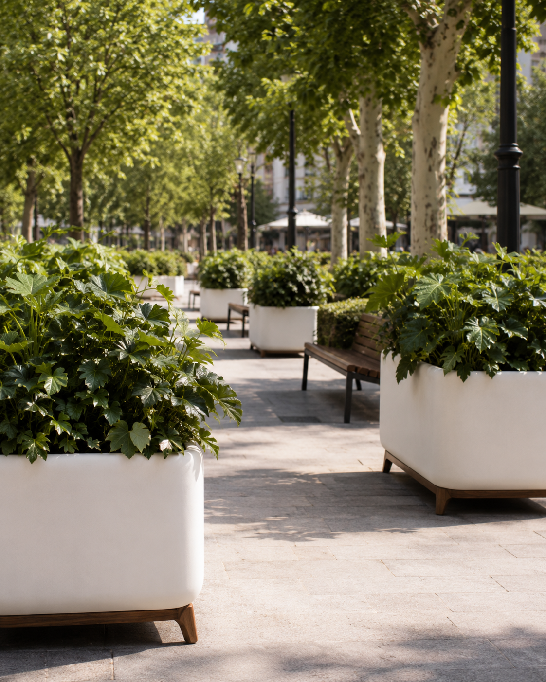 Parques y jardines urbanos